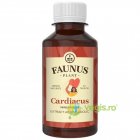 Tinctura Cardiacus Inima Sanatoasa 200ml