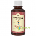 Tinctura Siluetus Silueta Ideala 200ml