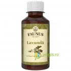 Tinctura de Lavanda 200ml