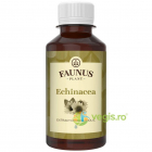 Tinctura de Echinacea 200ml