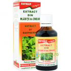 Extract din Mladite de Zmeur 50ml