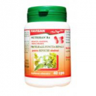 Nutrisan r2 b039 40cps FAVISAN