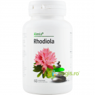 Rhodiola 60cpr