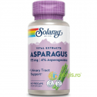 Asparagus Sparanghel 60cps Secom