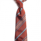 Cravata matase caramizie model dungi UTB C220