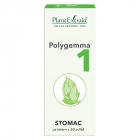 Polygemma 1 Stomac PlantExtrakt 50 ml