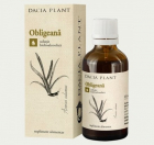 Tinctura de Obligeana Dacia Plant 50 ml