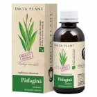 Sirop de patlagina 200 ml Dacia Plant