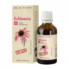 Echinacea fara alcool Dacia Plant