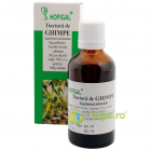 Tinctura de Ghimpe 50ml