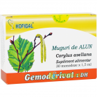 Muguri de Alun 30monodz