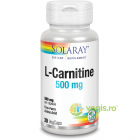 L Carnitine 500mg 30cps Secom