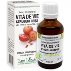 Extract din Seminte de Vita de Vie 50ml