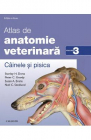 Atlas de anatomie veterinara Vol 3 Cainele si pisica Stanley H Done Pe