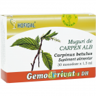 Muguri de Carpen Alb 30monodz