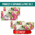 Set 5 sapunuri vegetal cu Fructul Dragonului Florinda 100 g La Dispens