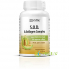 SOD Collagen Complex 650mg 80cps