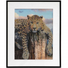 Set creativ cu diamante rotunde Diamond Painting 40x50cm Leopard
