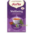 Ceai Stare de Bine Wellbeing Ecologic Bio 17dz