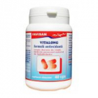 Vitalong antioxidant b054 40cps FAVISAN