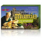 Extract de rasina mumie cu propolis tablete 30tbl DAMAR