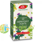 Hepatofit Forte D80 30cps