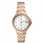 Ceas Dama Fossil FB 01 ES4995