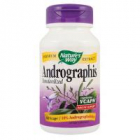 Andrographis standardized 60cps NATURES WAY