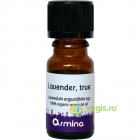 Ulei Esential de Lavanda Lavandula Angustifolia Ecologic Bio 10ml