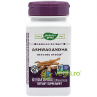 Ashwagandha SE 500mg 60cps Secom