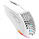 Mouse Gaming AQIRYS T G A Alpha