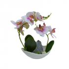 Orhidee cu aspect natural in ghiveci ceramic barcuta alb 25 cm CULOARE