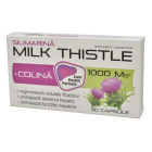 Milk Thistle plus Colina Zdrovit Ambalaj 90 capsule 30 capsule