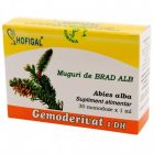 Gemoderivat din Muguri de Brad alb Hofigal 30 monodoze Ambalaj 30 mono