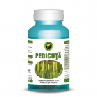 Pedicuta Hypericum 60 capsule Ambalaj 60 capsule