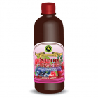 Sirop fructe de padure Hypericum 500 ml Ambalaj 500 ml