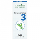 Polygemma 3 Tuse PlantExtrakt 50 ml Ambalaj 50 ml