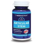 Articular Stem Herbagetica Ambalaj 120 capsule Concentratie 400 mg