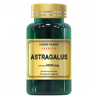 Astragalus Extract 450 mg Echivalent 9000 mg Cosmopharm Premium Concen