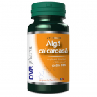 Alga Calcaroasa DVR Pharm 60 capsule TIP PRODUS Suplimente alimentare 