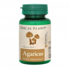 Agaricus Dacia Plant 60 comprimate Concentratie 500 mg