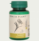 Antistres Dacia Plant 60 comprimate Concentratie 500 mg