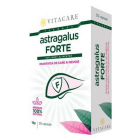 Astragalus Forte Vitacare 30 capsule Concentratie 450 mg