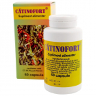 Catinofort Hofigal 60 capsule Concentratie 400 mg