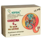 Coenzima Q10 in Ulei de Catina 15 mg Hofigal 40 capsule Concentratie 1