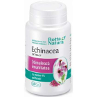 Echinaceea Extract Rotta Natura 30 capsule Concentratie 280 mg