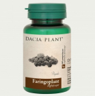 Faringoplant Dacia Plant 60 comprimate Concentratie 501 mg