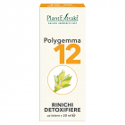Polygemma 12 Rinichi Detoxifiere PlantExtrakt 50 ml Concentratie 50 ml