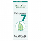 Polygemma 7 Cai Urinare 50 ml PlantExtrakt Concentratie 50 ml