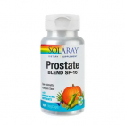 Prostate Blend SECOM Solaray 100 capsule Concentratie 500 mg